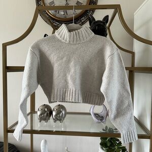Aritzia gray cropped turtleneck sweater